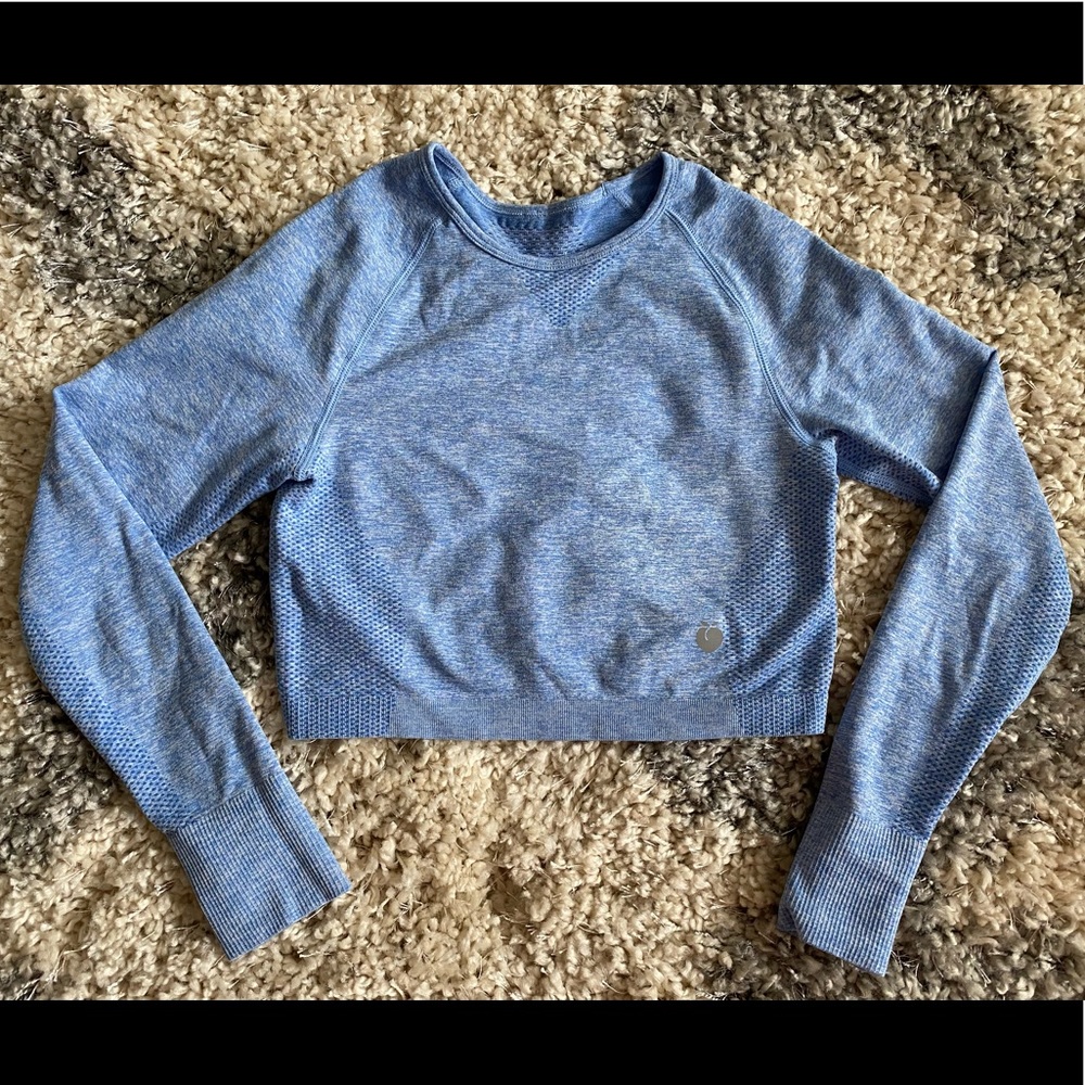 Workout Long Sleeve Crop Top